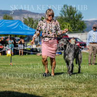 _KC_3584 (2)